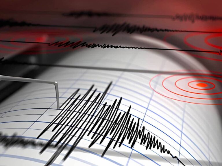 sismografo scossa terremoto sismografo scossa terremoto