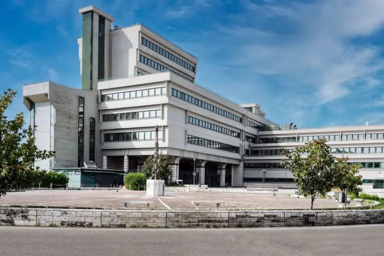 tribunale frosinone giustizia tribunale frosinone giustizia